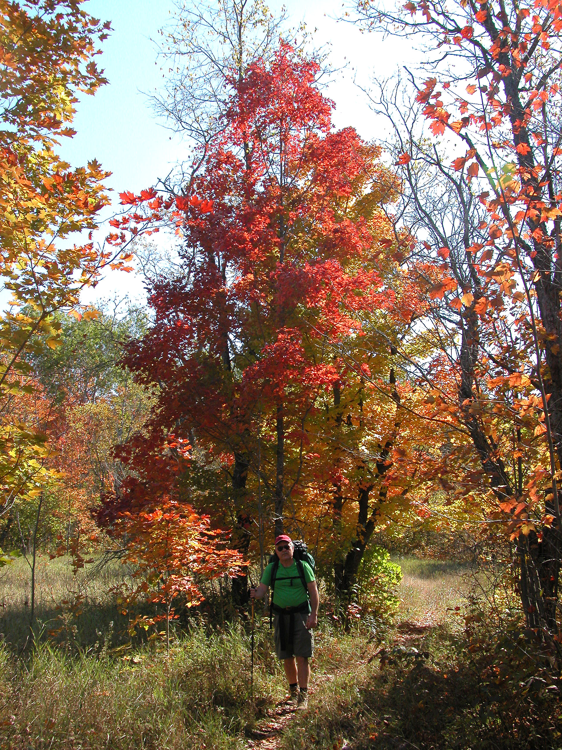 Fall colors along the Jordan River Pathway.